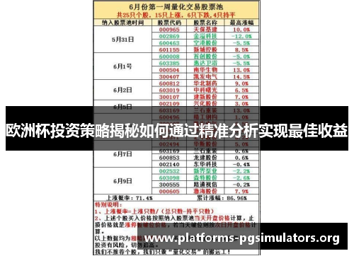 欧洲杯投资策略揭秘如何通过精准分析实现最佳收益