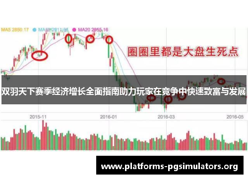 双羽天下赛季经济增长全面指南助力玩家在竞争中快速致富与发展