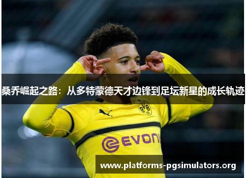 桑乔崛起之路：从多特蒙德天才边锋到足坛新星的成长轨迹