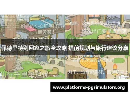 佩德里特别回家之旅全攻略 提前规划与旅行建议分享
