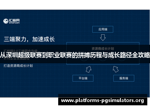 从深圳超级联赛到职业联赛的拼搏历程与成长路径全攻略