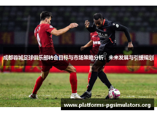 成都蓉城足球俱乐部转会目标与市场策略分析：未来发展与引援规划