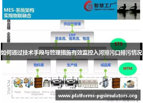 如何通过技术手段与管理措施有效监控入河排污口排污情况