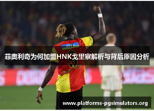 菲奥利奇为何加盟HNK戈里察解析与背后原因分析