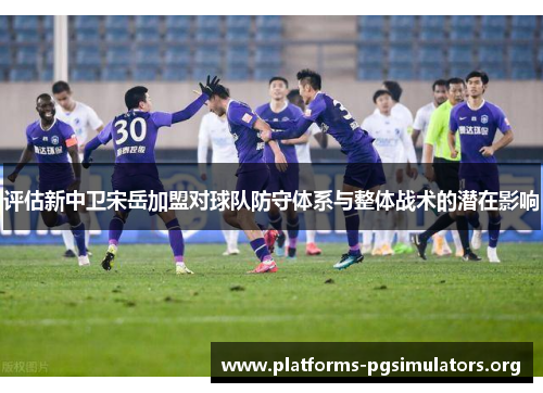 评估新中卫宋岳加盟对球队防守体系与整体战术的潜在影响