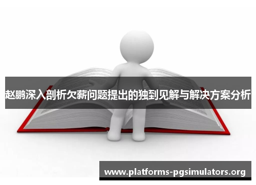 赵鹏深入剖析欠薪问题提出的独到见解与解决方案分析
