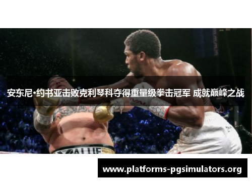安东尼·约书亚击败克利琴科夺得重量级拳击冠军 成就巅峰之战