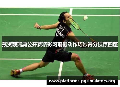 戴资颖瑞典公开赛精彩网前假动作巧妙得分技惊四座
